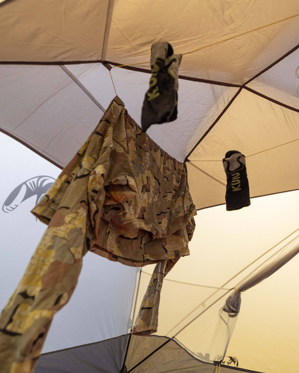 Image showing clothing hanging from the interior clothes line built into the roof of the mesh body of the Mountain Star 3 Person Tent
