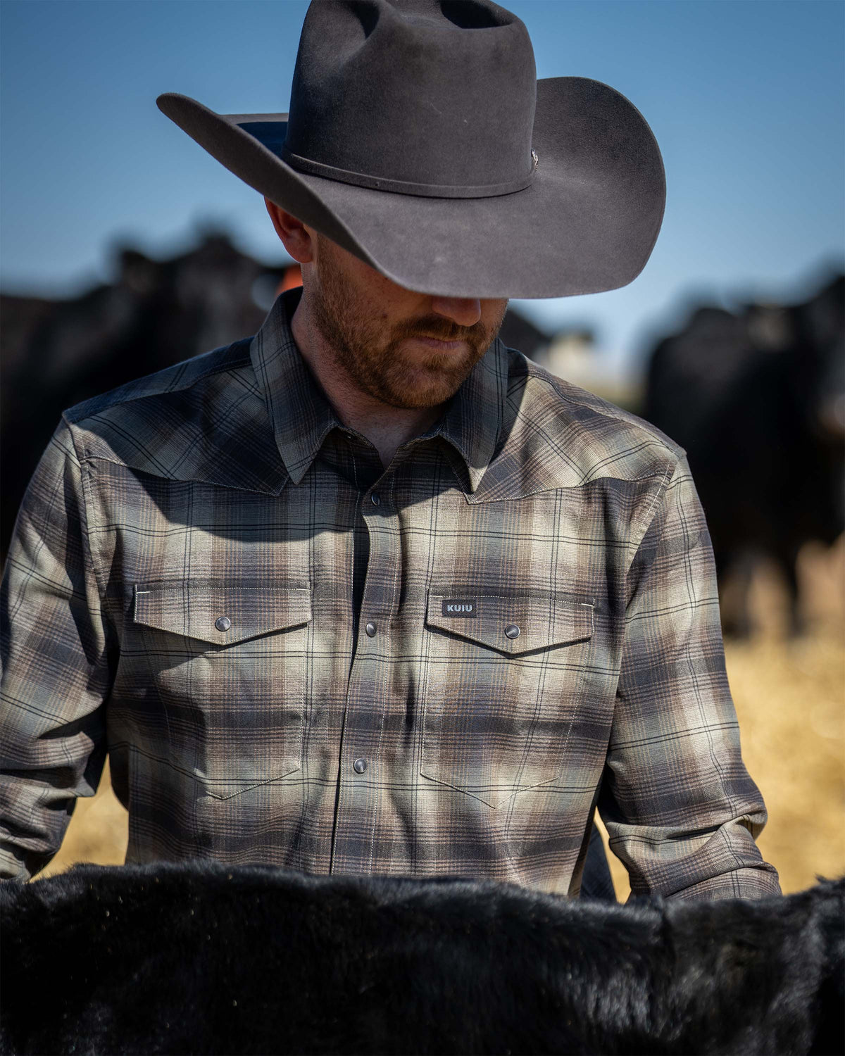 Man wearing a Laredo Long Sleeve Shirt in Vias Ombre Plaid and wide‑brim hat in an outdoor setting, standing among livestock in a field.
