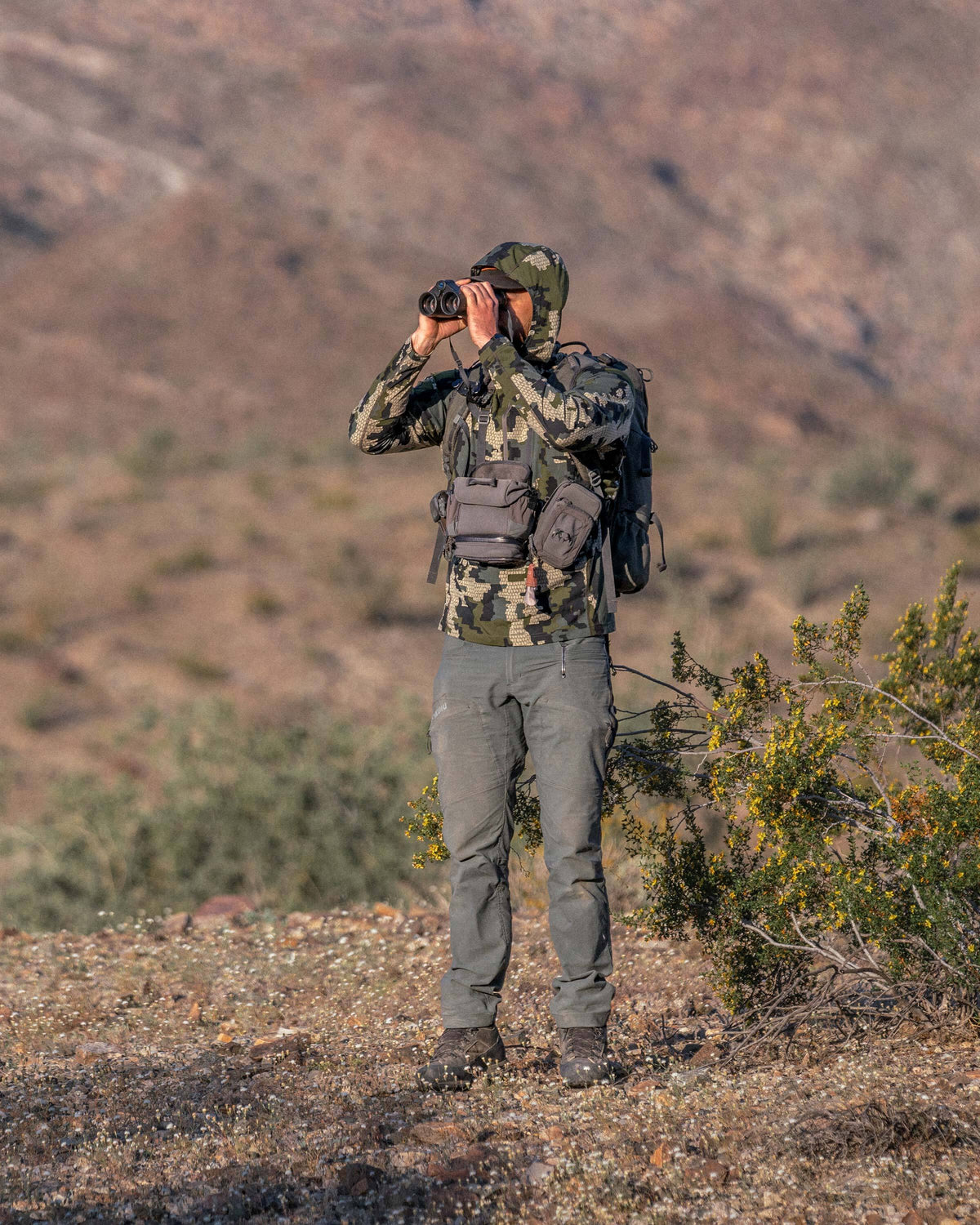 Hunter standing in a desert terrain, glassing, wearing Tiburon Hybrid Hoodie Verde in Camouflage