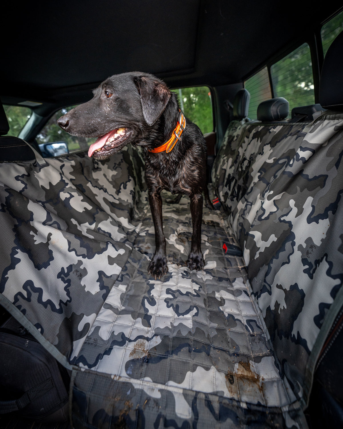 A black dog wearing an orange collar stands on a KUIU Quilted K9 Seat Cover in Vias Storm camouflage installed on the back seat of a vehicle.